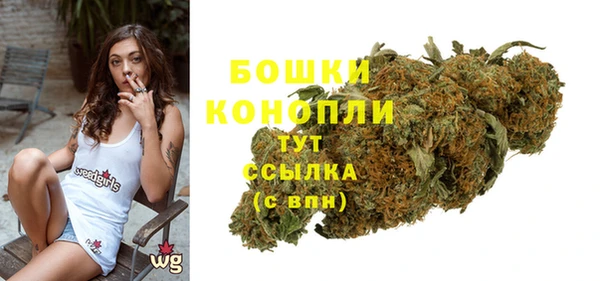 эйфоретик Новодвинск