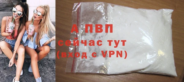 эйфоретик Новодвинск