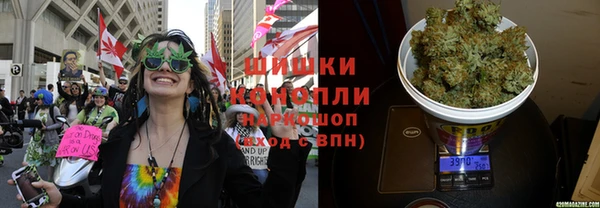 эйфоретик Новодвинск
